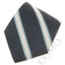 Royal Observer Corps Tie